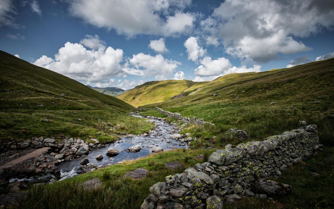 Je brein op vakantie