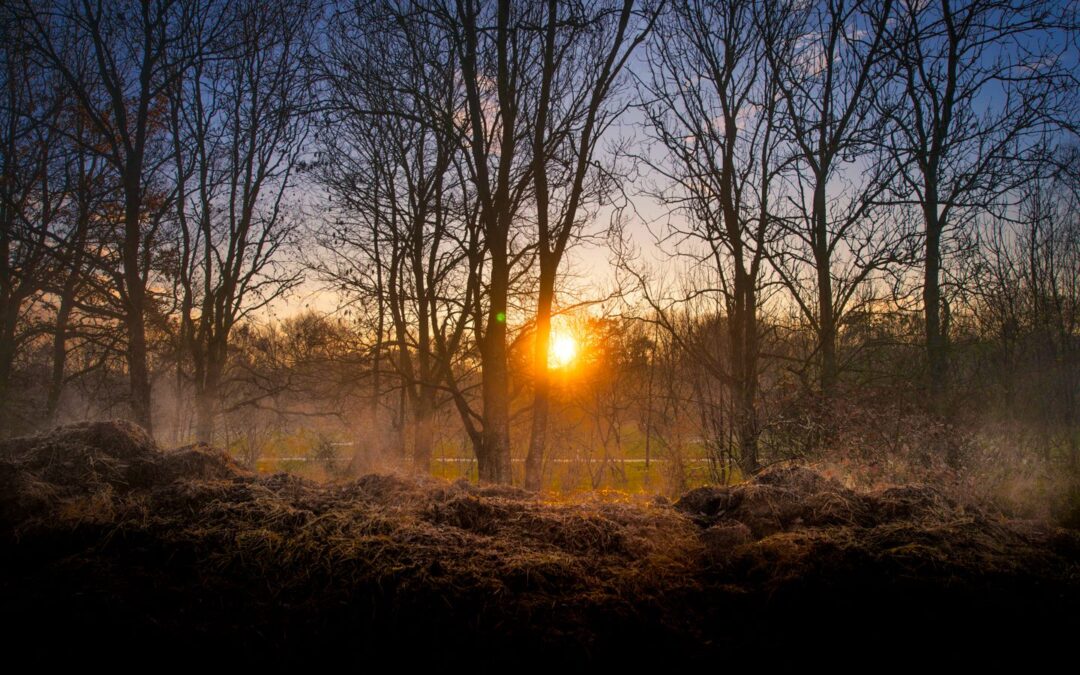 Als de zon schijnt