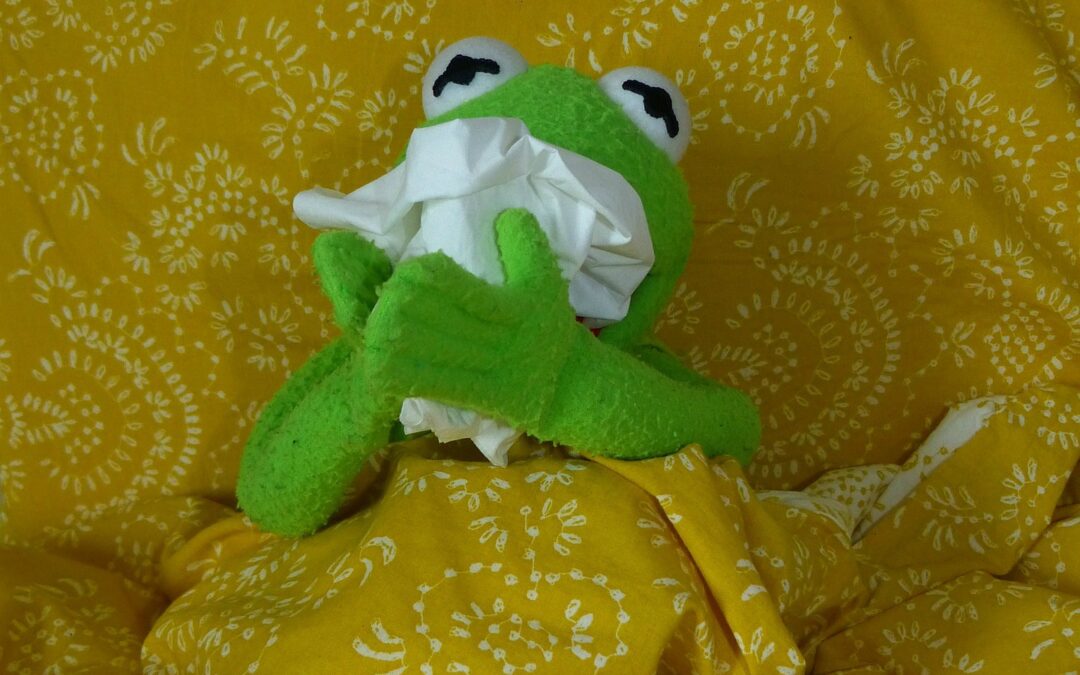 Kermit de kikker verkouden in bed