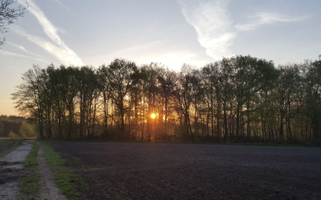 Verdwaald