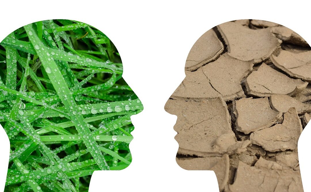 Wat ze van me denken