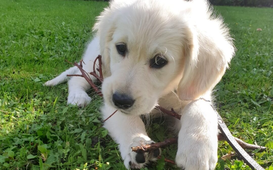 Vallen en weer opstaan