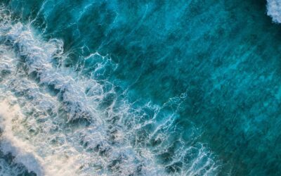 Grounding in de 3 principes