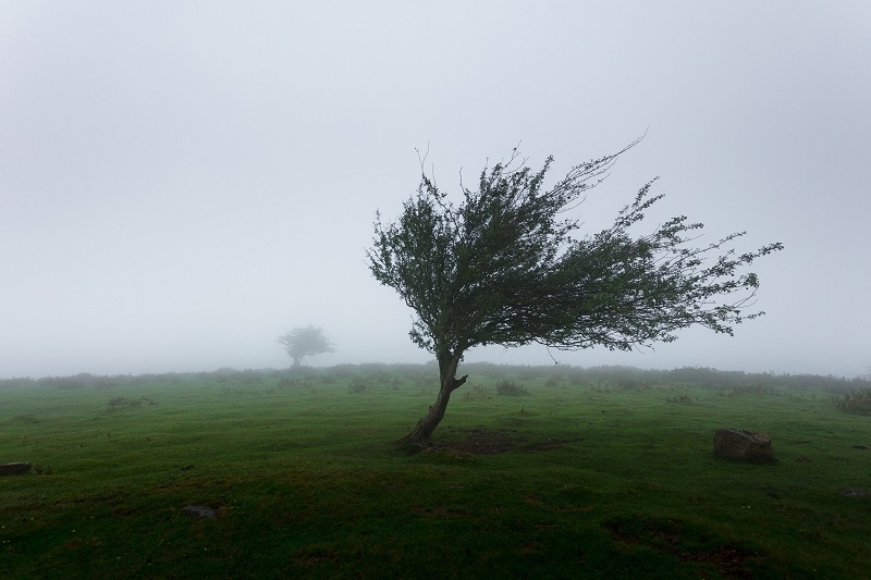 De amateur meteoroloog