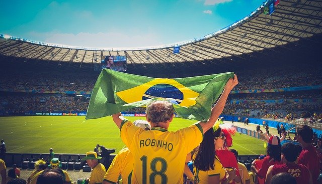 voetbalstadium veld man fan houdt een vlag omhoog