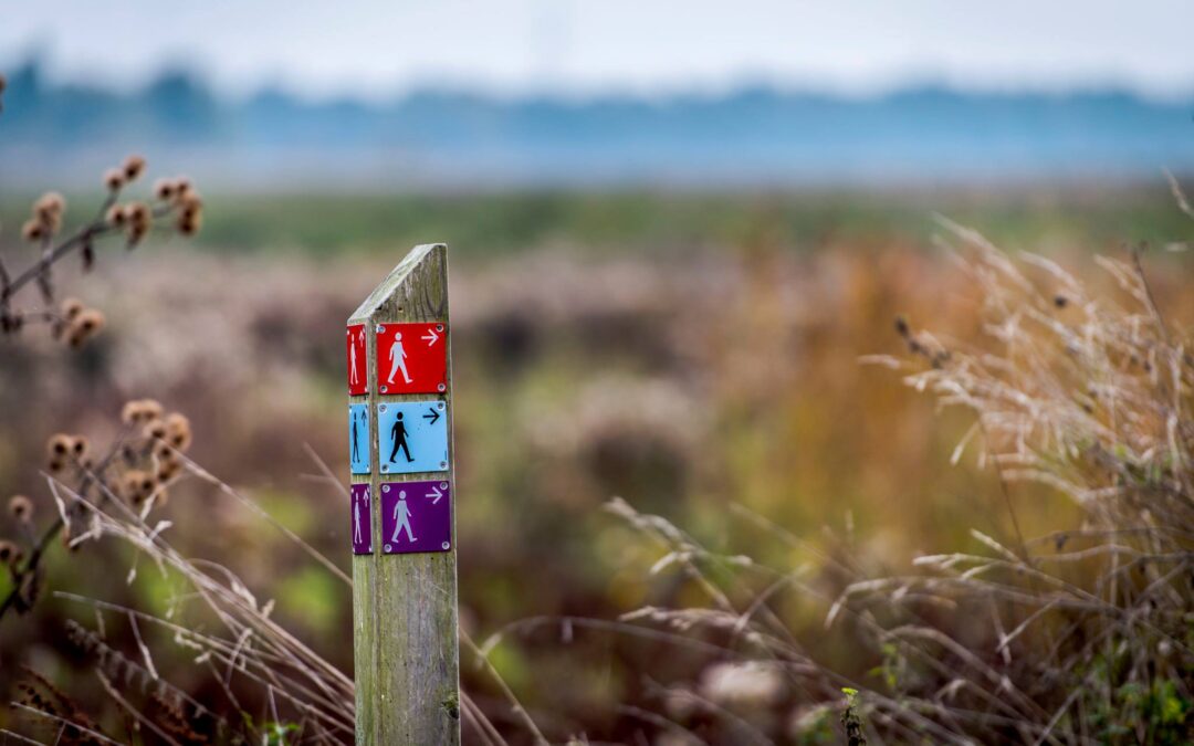 paaltje met wandelroutes met op de achtergrond gras