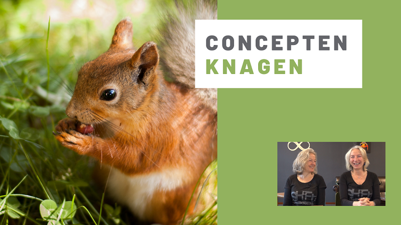 Concepten knagen