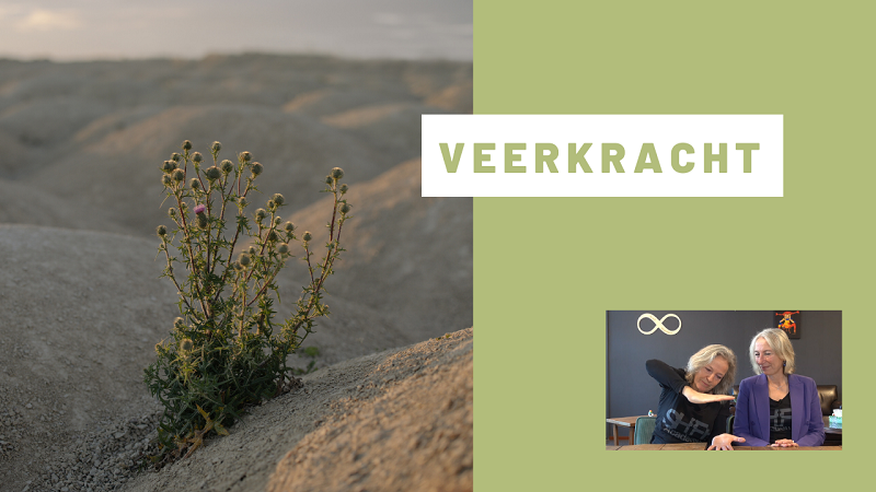 Veerkracht