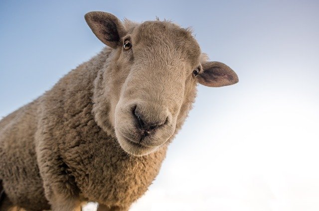 Wat als…je niets wist?
