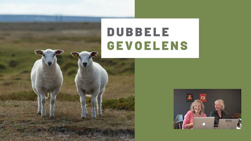 Dubbele gevoelens