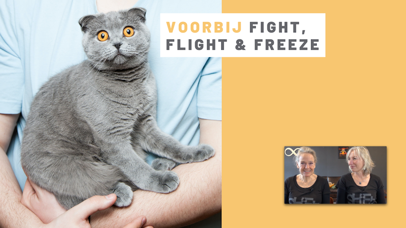 Voorbij fight, flight & freeze