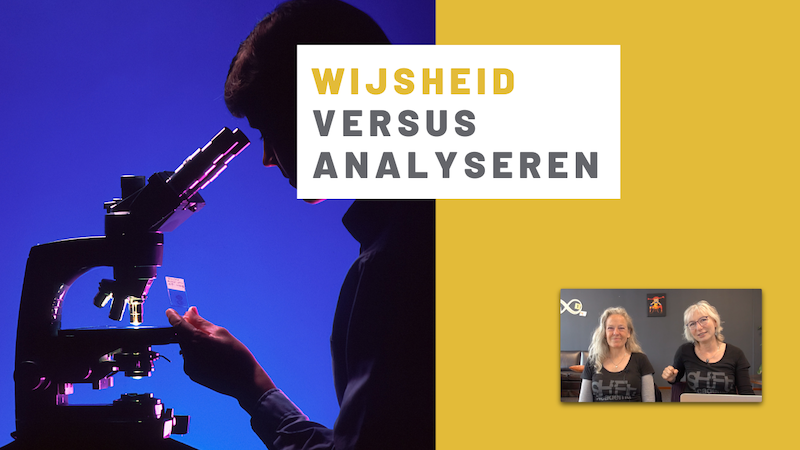 Wijsheid versus analyseren