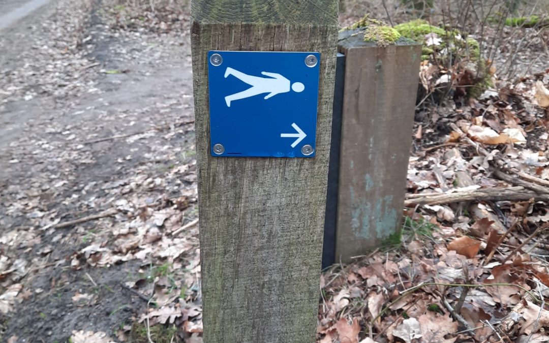 Ik weet de weg (niet)