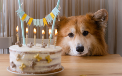 Oud(er) worden: wat je ziet denk je zelf